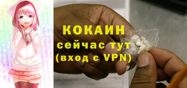 крисы Баксан