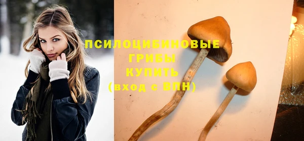 крисы Баксан