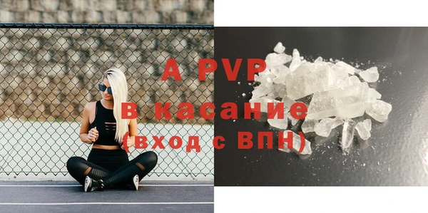 крисы Баксан