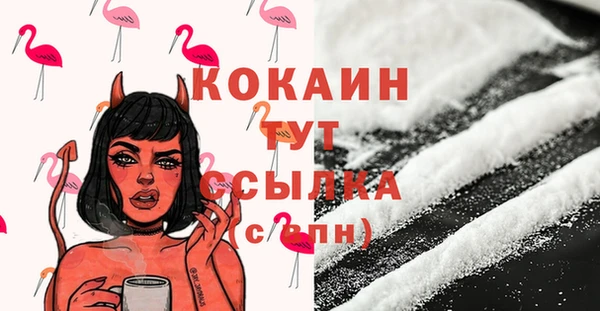 крисы Баксан