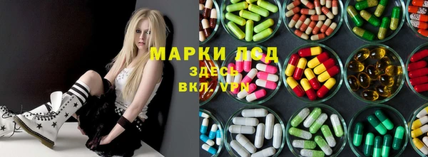 крисы Баксан