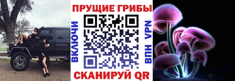 shop наркотические препараты  Новый Уренгой  Псилоцибиновые грибы Magic Shrooms 